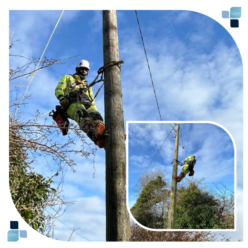 Working with Hazard Rectifications & Defects